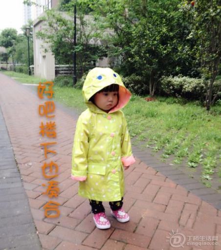170700e88a443a35310ce6.jpg