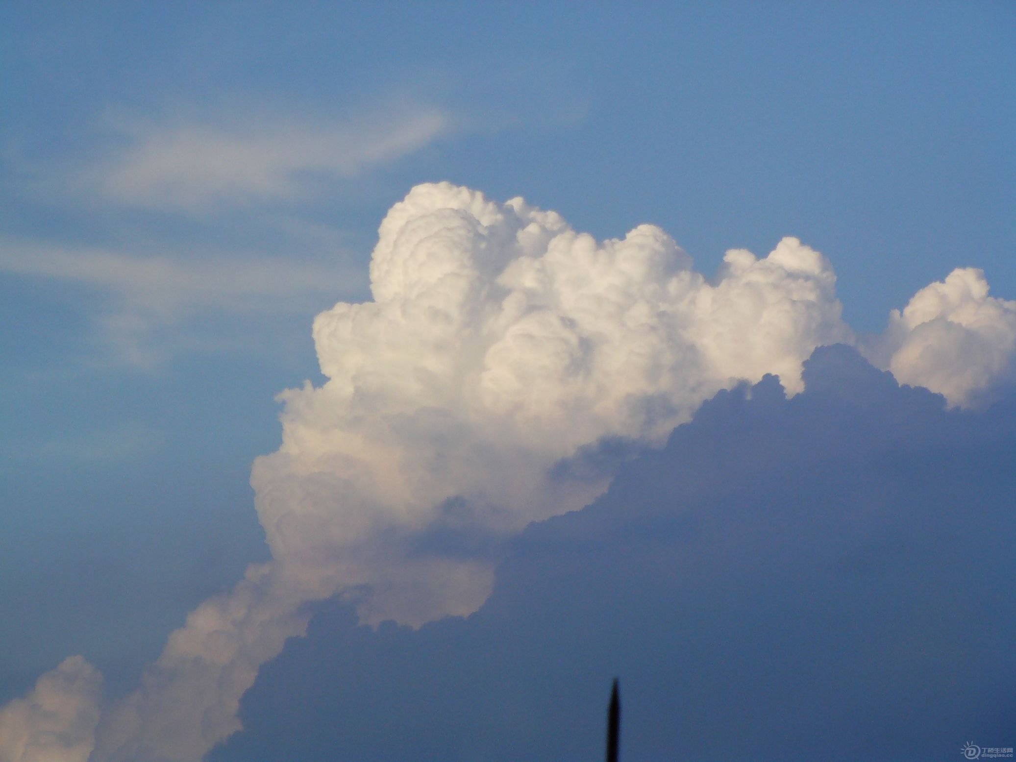 IMAG0216.JPG