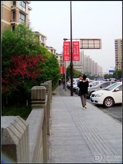 IMAG0365.JPG