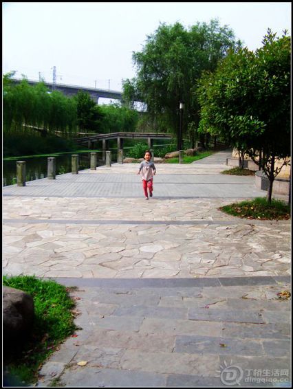 IMAG0739.JPG