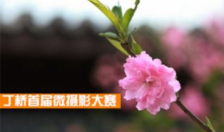 QQͼ20140819164204.jpg