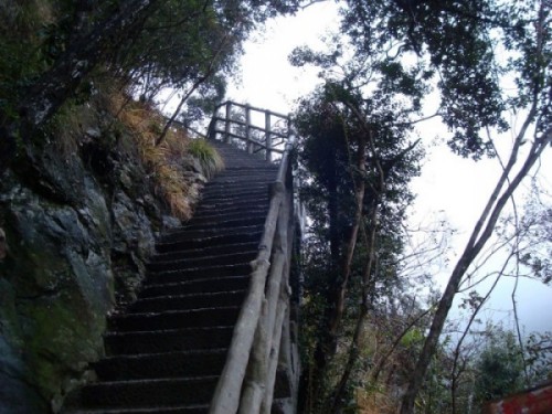 200912229171759038.jpg
