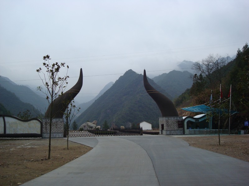 2009122020221533587.jpg