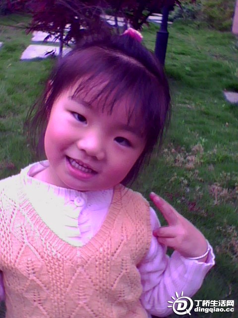 IMG0279A.jpg