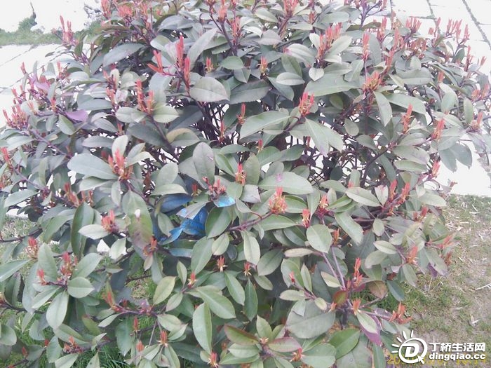 IMAG0141.jpg