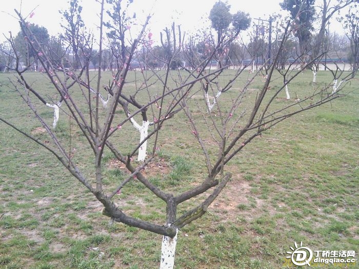 IMAG0140.jpg