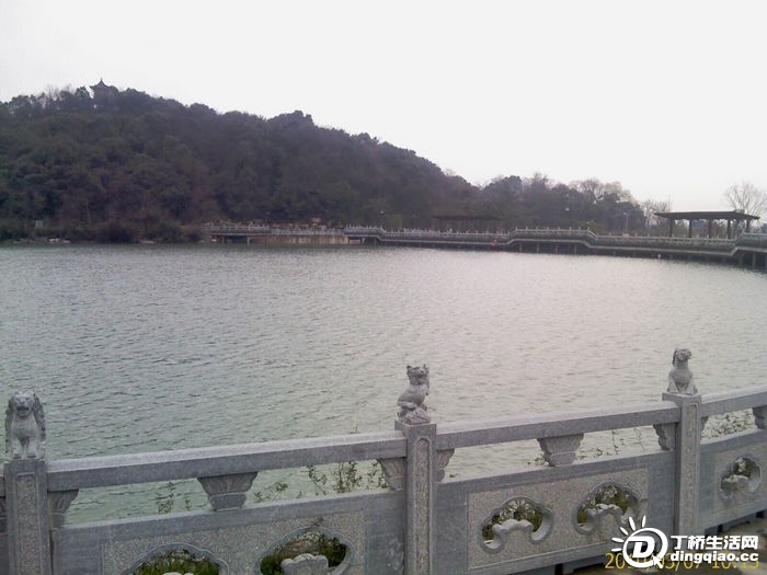 IMAG0143.jpg