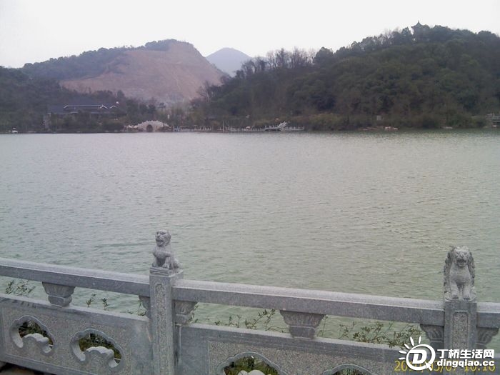IMAG0145.jpg