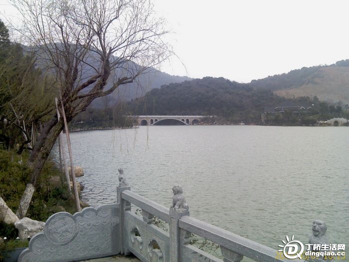 IMAG0144.jpg