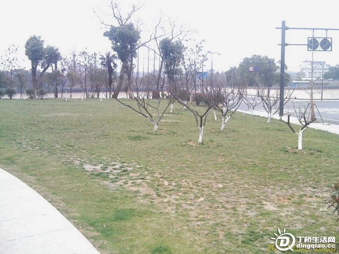 IMAG0146.jpg