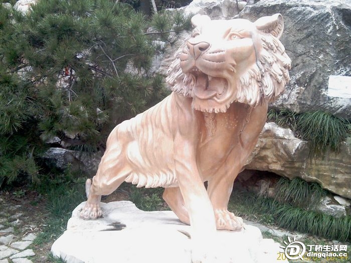 IMAG0156.jpg
