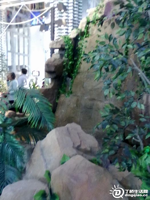 20100529175.jpg