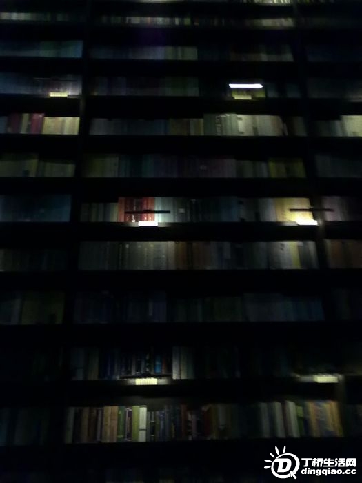 20100529213.jpg