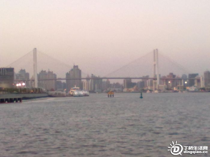 20100529229.jpg