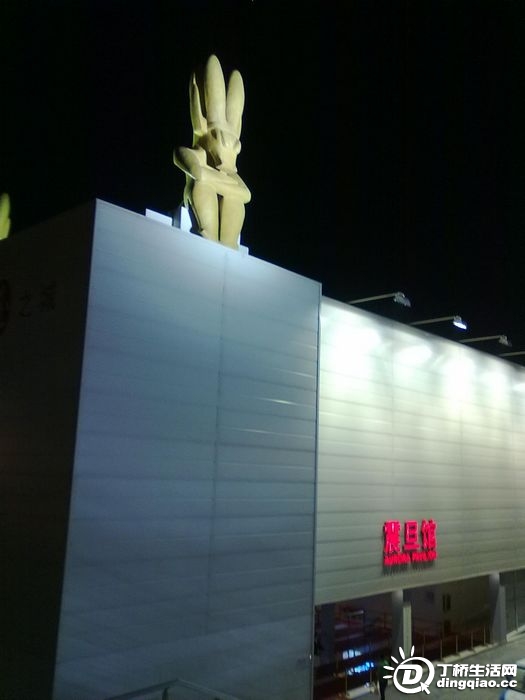 20100529254.jpg
