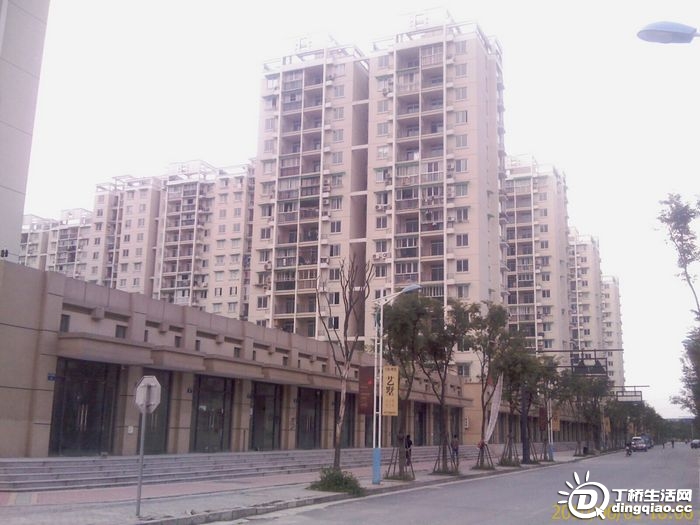 IMAG0927.jpg