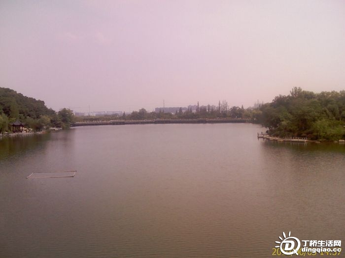 IMAG0946.jpg