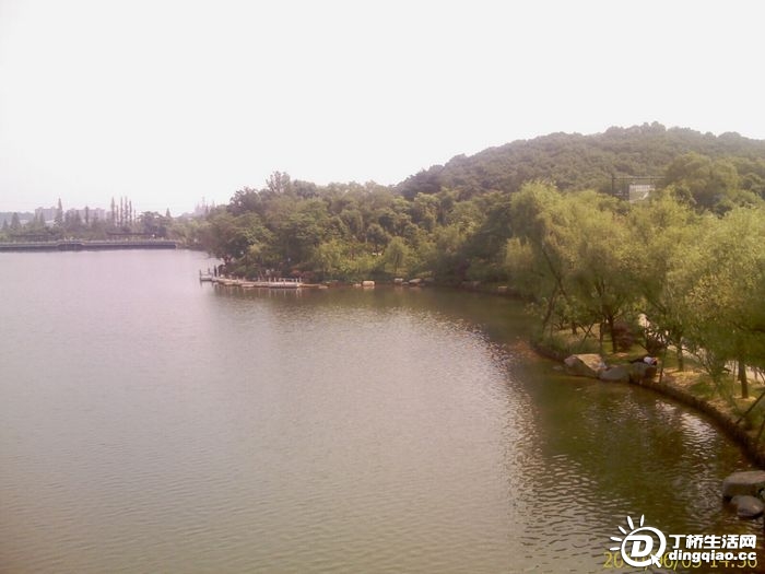 IMAG0945.jpg