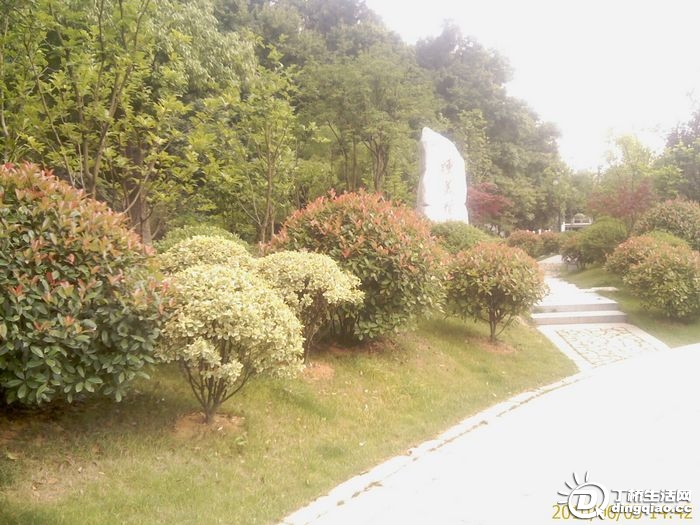 IMAG0958.jpg