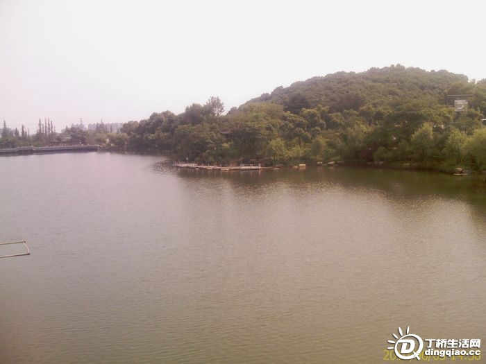IMAG0951.jpg