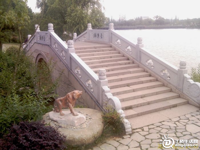 IMAG0964.jpg