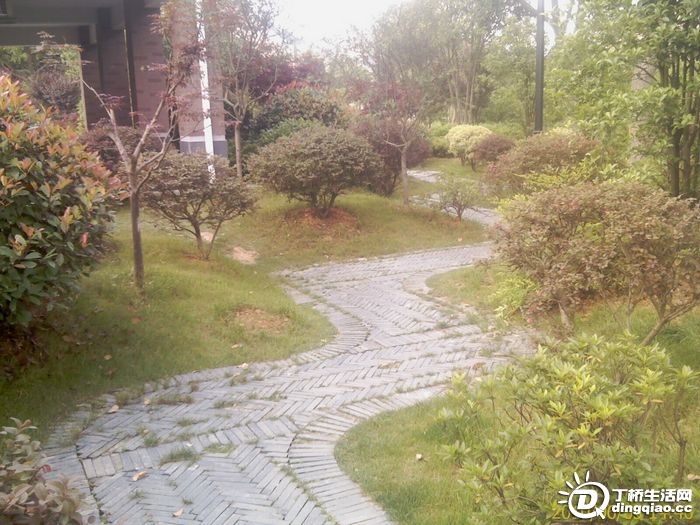 IMAG0962.jpg