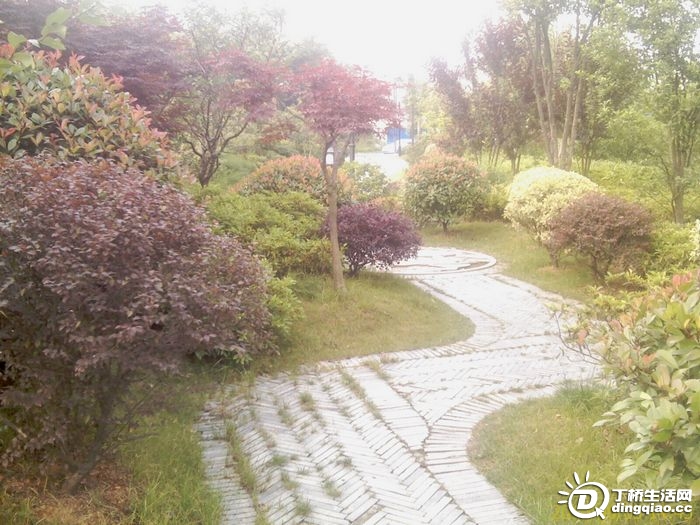 IMAG0961.jpg