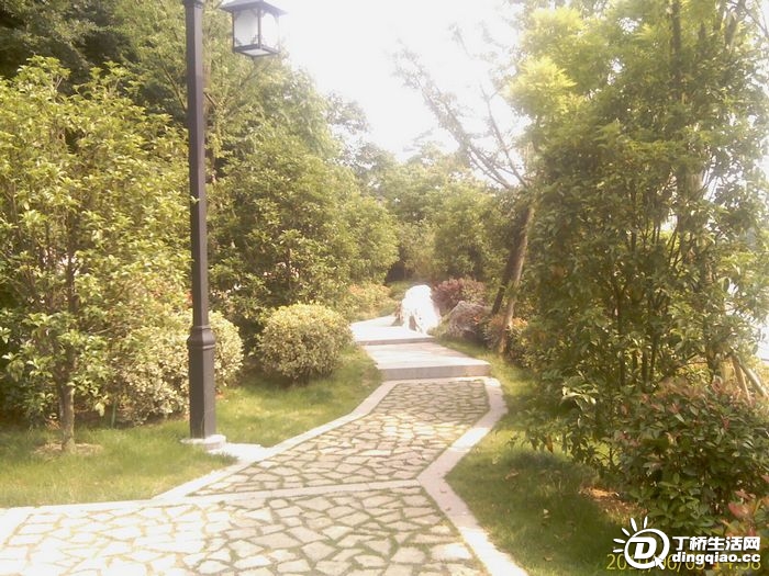 IMAG0973.jpg