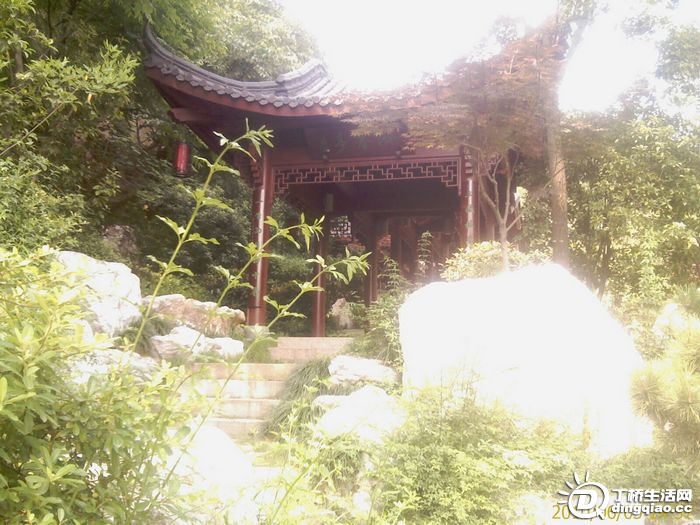 IMAG0972.jpg