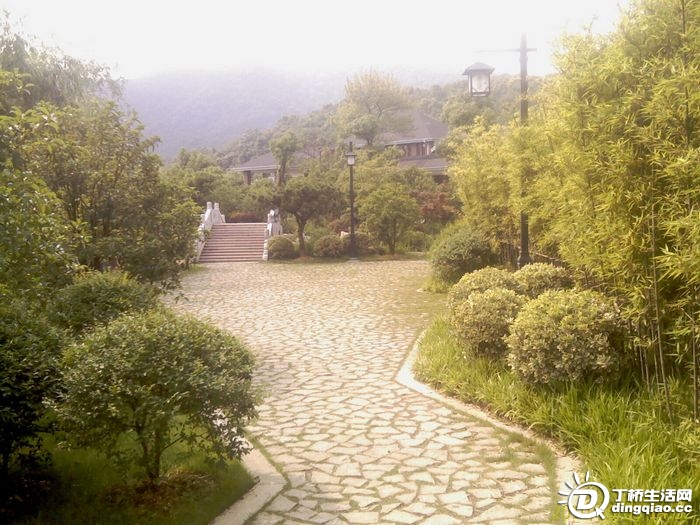 IMAG0970.jpg