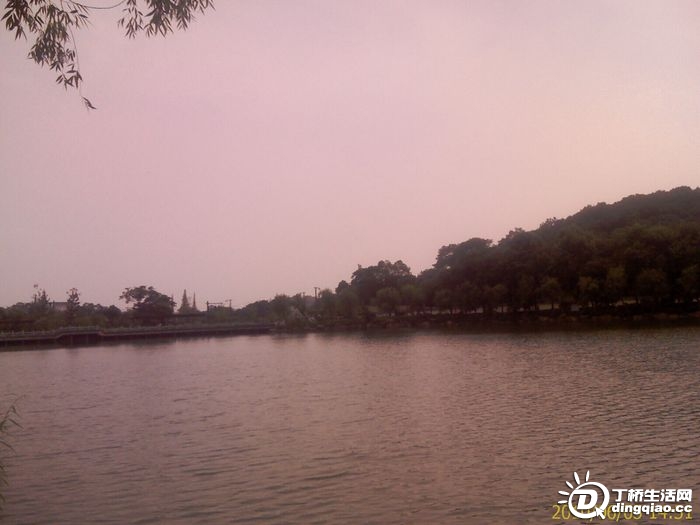 IMAG0969.jpg