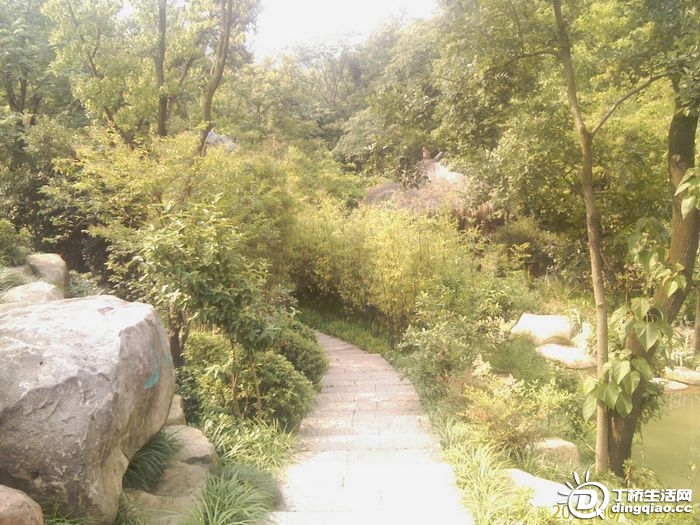 IMAG0974.jpg