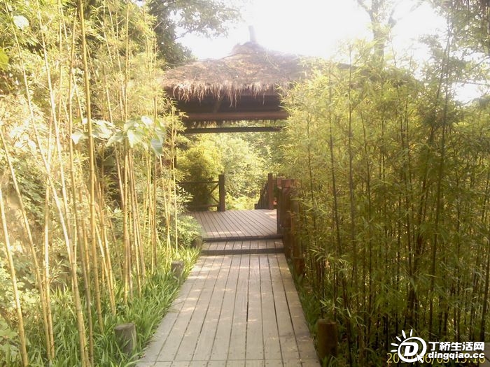 IMAG0979.jpg