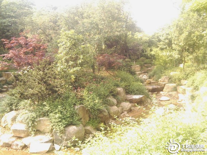 IMAG0977.jpg