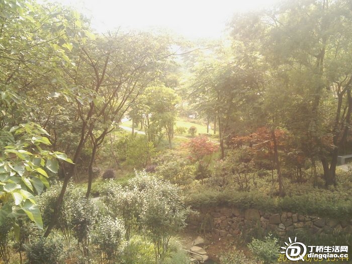 IMAG0982.jpg
