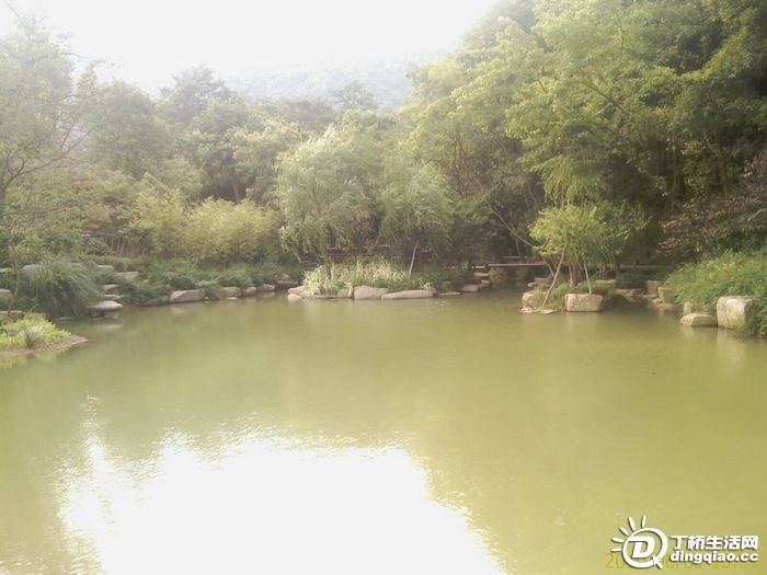 IMAG0986.jpg