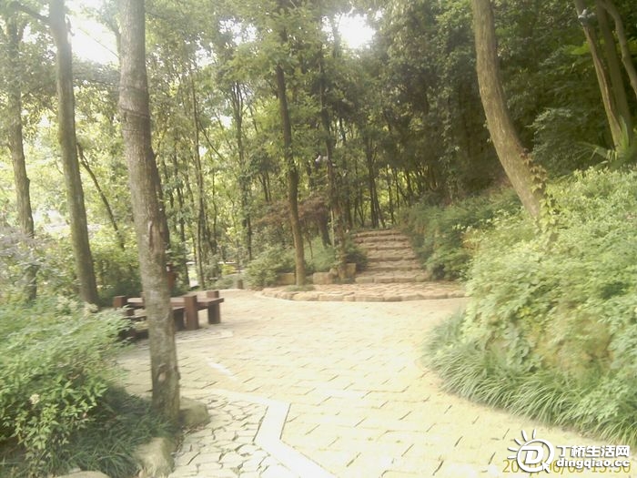 IMAG0985.jpg