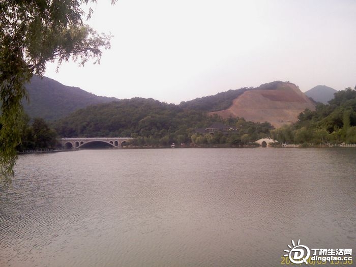IMAG0991.jpg