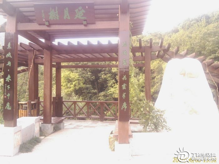 IMAG0990.jpg