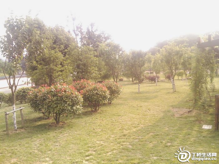 IMAG0995.jpg