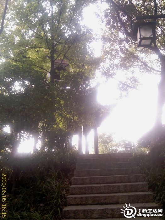 IMAG0003.jpg