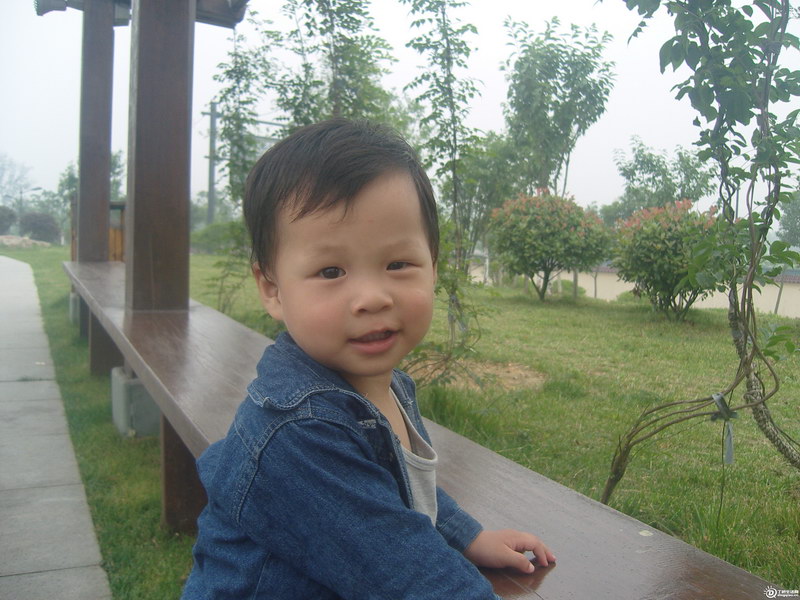 SNV83474.JPG