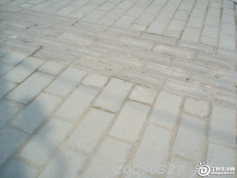 P3272227.JPG