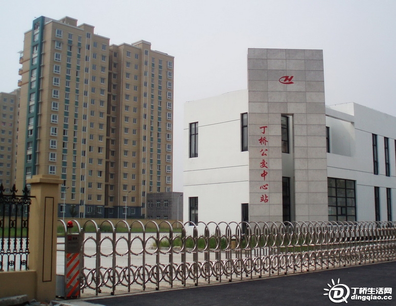 P9125985_С.JPG