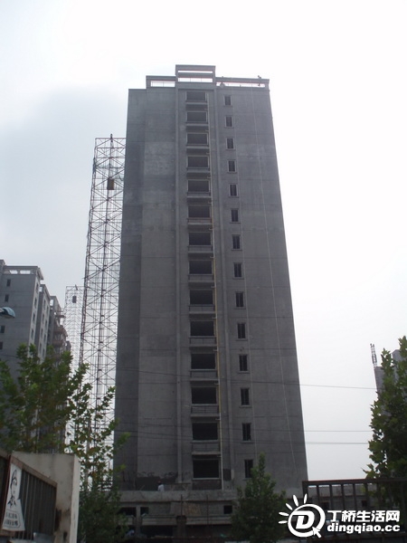 P9126041_С.JPG
