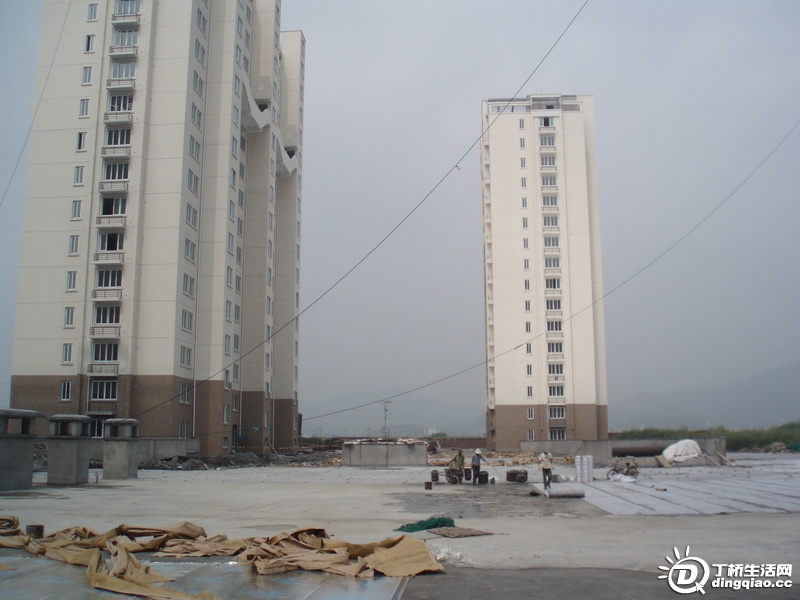 P9126037_С.JPG