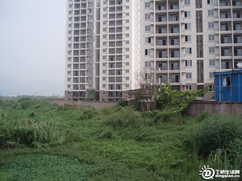 P9126057_С.JPG