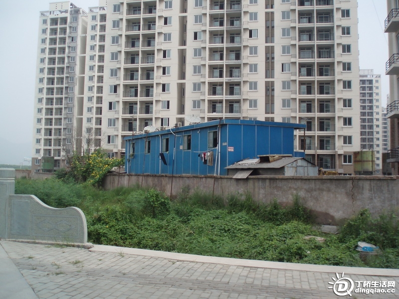 P9126048_С.JPG