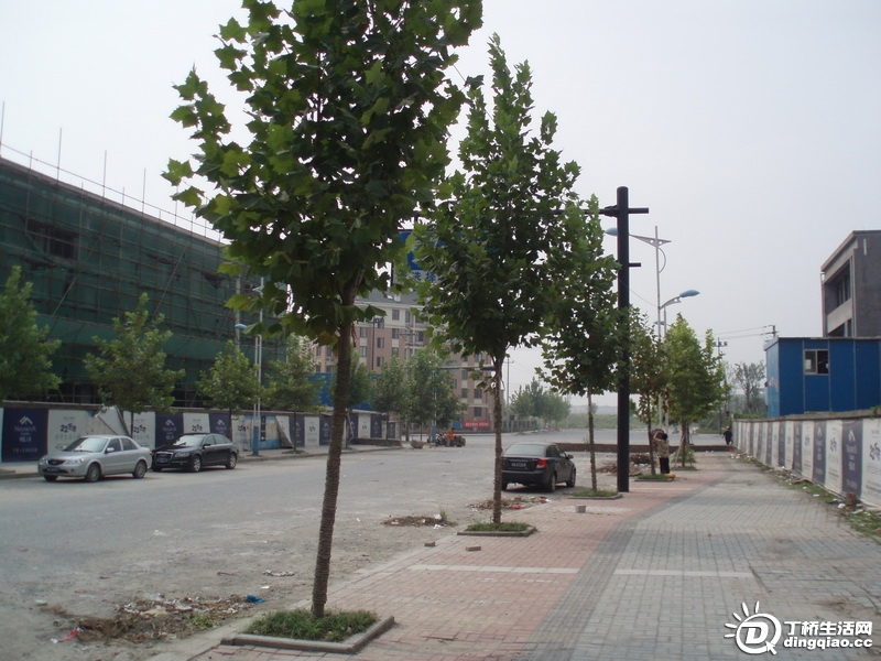 P9126046_С.JPG