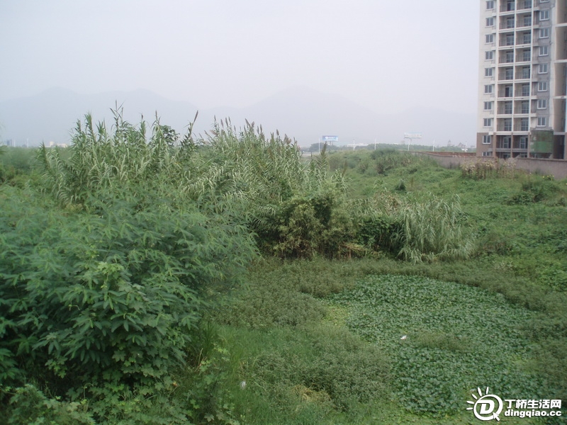 P9126056_С.JPG